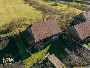 FILM! Domeniu de 6.221mp, livada pomi fructiferi+casa si anexe,Lemnia, Covasna - imagine 15