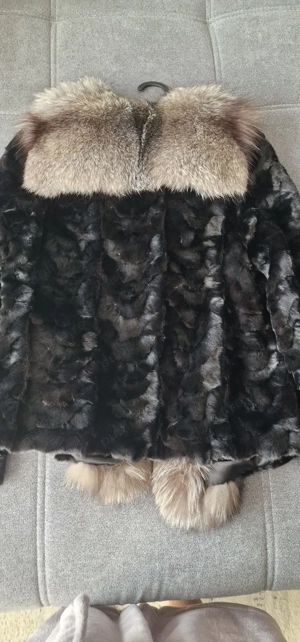 Haina din Persian cu guler si fata de vulpe roșie 