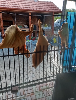 porci de tăiat  - imagine 4