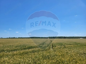 Teren intravilan 30,000mp Corbeanca P+1+E2