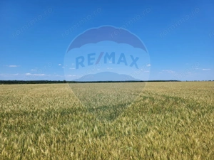 Teren intravilan 30,000mp Corbeanca P+1+E2 - imagine 2