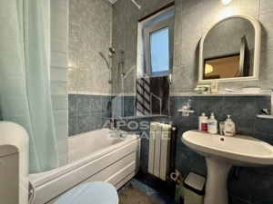 Apartament la casa, 2 camere, 120mp teren, zona Centrala Timisoara - imagine 10