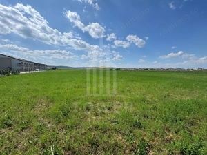  Teren 10.000 mp, Șura Mică – Ocna Sibiului | Investiție, COMISION 0% - imagine 5