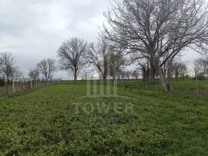 Casă de vânzare în satul Roșia cu vedere panoramică spre Munții Făgăras - imagine 3