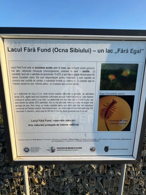 OPORTUNITATE la Ocna Sibiului - Teren Casă/Cabană lângă Lacul Fără Fund - imagine 6