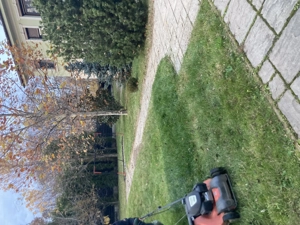 Angajam muncitori in agricultura  - imagine 2