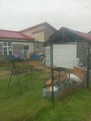 casa 4 dormitoare adunatii copaceni