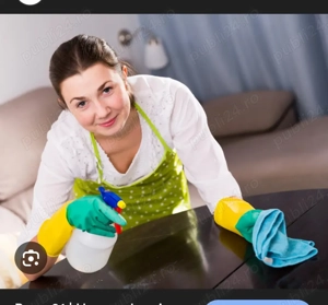 Doamna Curatenie o data pe saptamana 500 ron luna