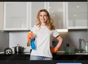 Persoana doamna curatenie menaj 2 apartamente pitesti part time