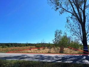 TEREN INTRAVILAN ȘI EXTRAVILAN BAIA DE FIER