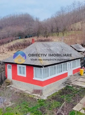 2 CASE de POVESTE într-o zonă liniștită + teren 3600 mp - COSTIȘA