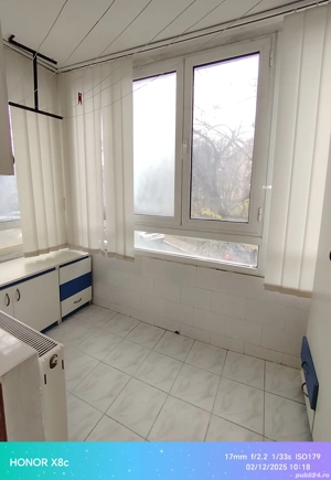 Ap. 4 cam D, Et. 1,langa Hala Centrala  - imagine 5