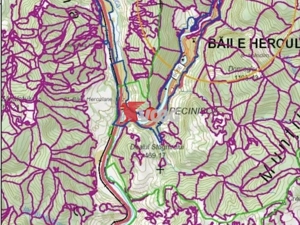 Teren Baile Herculane - imagine 4