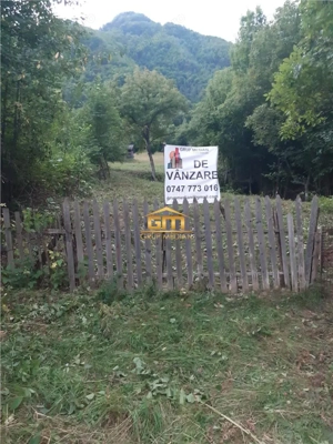 Teren 7.933 mp in Malaia, lang #259; lacul Br #259;di #537;or