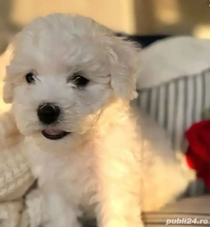 Cel mai frumos cadou!