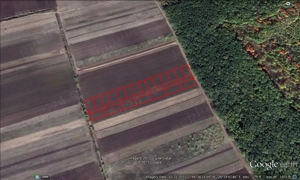 Teren  5000 mp  - imagine 2