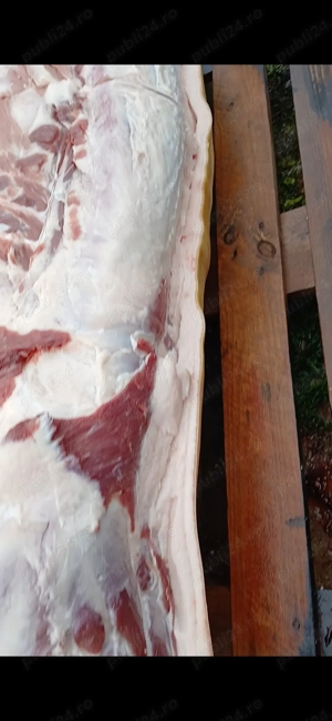 Se vinde porc de carne  - imagine 5