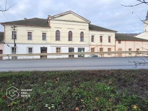 Proprietate tip conac, teren 4468 mp, oras Lipova - imagine 2