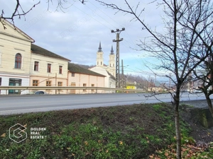 Proprietate tip conac, teren 4468 mp, oras Lipova - imagine 4