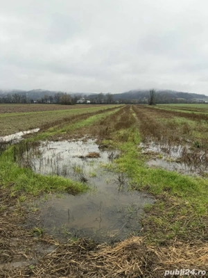 Teren extravilan Brosteni