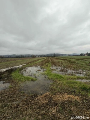 Teren extravilan Brosteni - imagine 2