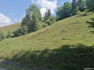 Vand teren extravilan  - imagine 8