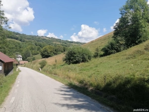 Vand teren extravilan  - imagine 10