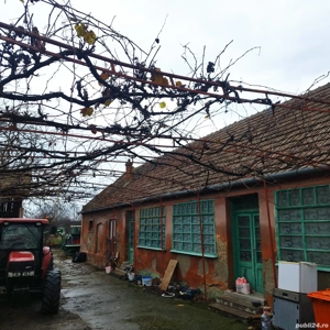 Casa de vânzare - imagine 3