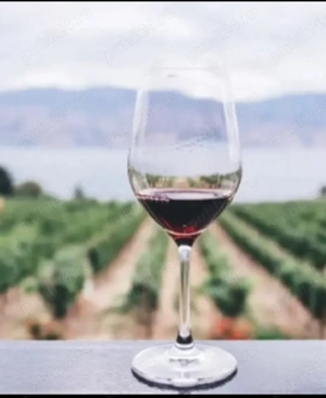 Vin natural de țară zona Huși