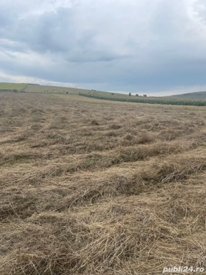 teren arabil agricol  - imagine 4