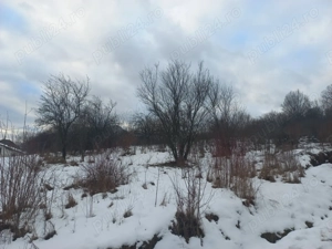 Vand teren in Baia Sprie 8 ari - imagine 3