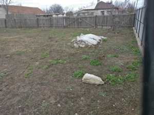 Teren intravilan central  - imagine 8