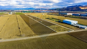 COMISION 0% Teren 25,000mp Ghimbav / Strada Sanzienei - imagine 4