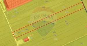 COMISION 0% Teren 25,000mp Ghimbav / Strada Sanzienei - imagine 11