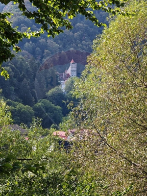 Teren 5,174mp Bran / Strada Colibasilor la 800 m de centrul Branului