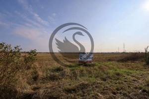 Teren de vanzare | 5050mp | Zona de Nord, Ploiesti | COMISION 0% - imagine 4