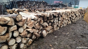 vand lemn de brad si fag