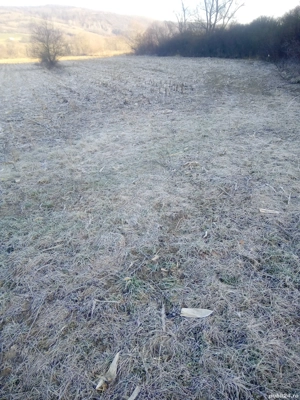 Teren agricol extravilan intabulat