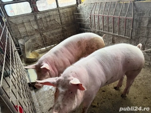 Pentru Craciun - imagine 2