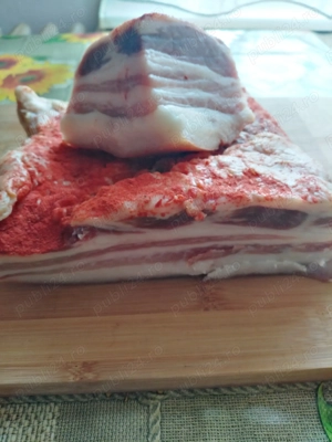 Purcei, porci tineri și porcușori de vânzare în Santionlunca  - imagine 4