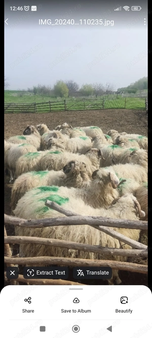 90 Noatini de vanzare