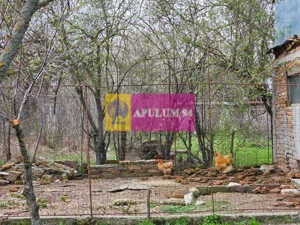 GIURGIU - COM. BUCSANI (SAT OBEDENI) CASA 2 CAM DE VANZARE - imagine 18