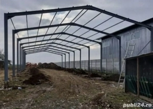 hale metalice - imagine 2