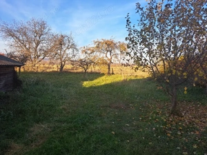 Casa batraneasca de vânzare  - imagine 9