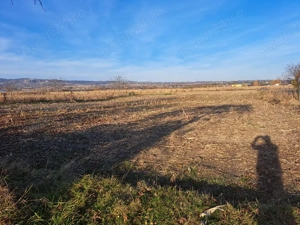 Casa batraneasca de vânzare  - imagine 8
