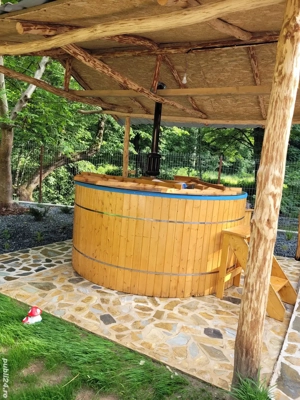 Cabana Baisoara  - imagine 3