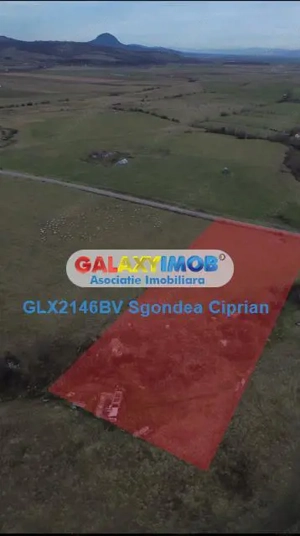 Teren Intravilan Sohodol 5 km Bran 10000 Mp - imagine 4