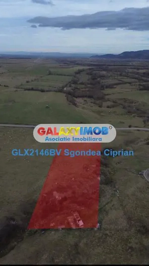 Teren Intravilan Sohodol 5 km Bran 10000 Mp - imagine 2