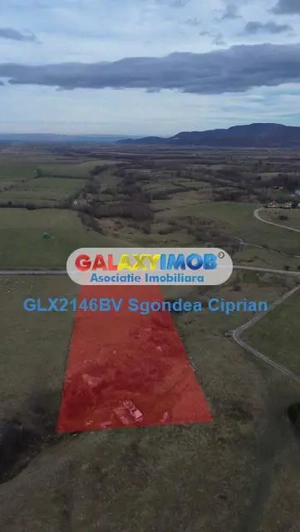 Teren Intravilan Sohodol 5 km Bran 10000 Mp - imagine 6