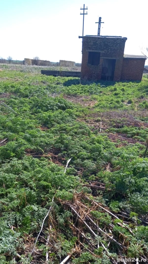 Fermă zoothenică 5.85 hectare - imagine 7